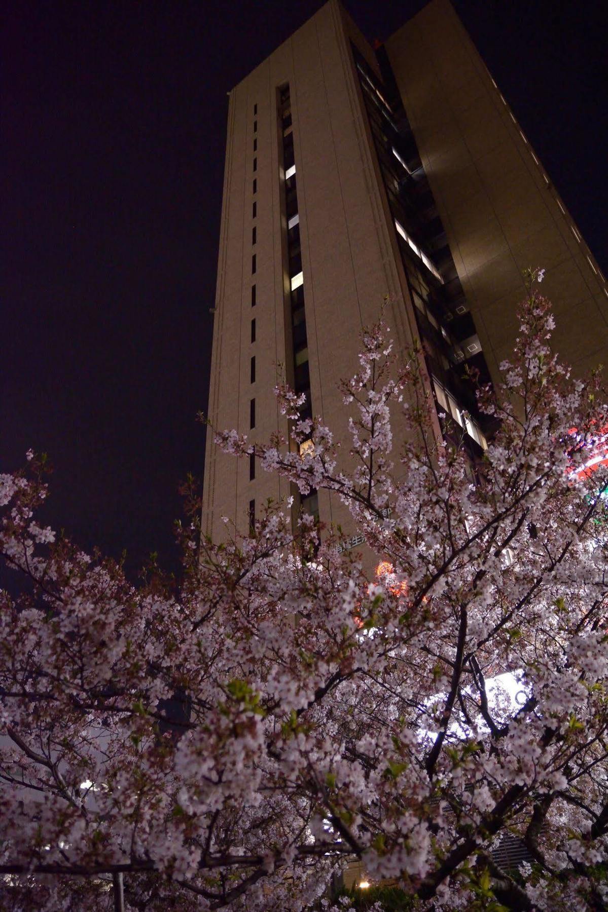 Tokyo Central Youth Hostel Екстериор снимка